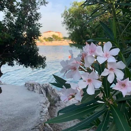 Apartmán Milano Rogoznica (Sibenik-Knin)