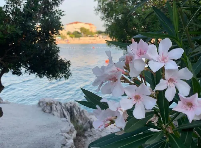 Apartman Milano Rogoznica (Sibenik-Knin)